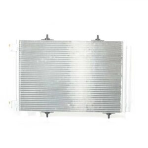 KLIMA RADYATORU B.M 207/208/2008/C3/DS3 07-